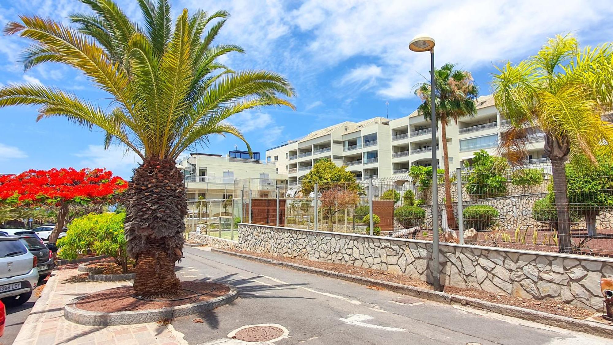 Terraza Sea & Sun Lejlighed Palm-mar Eksteriør billede