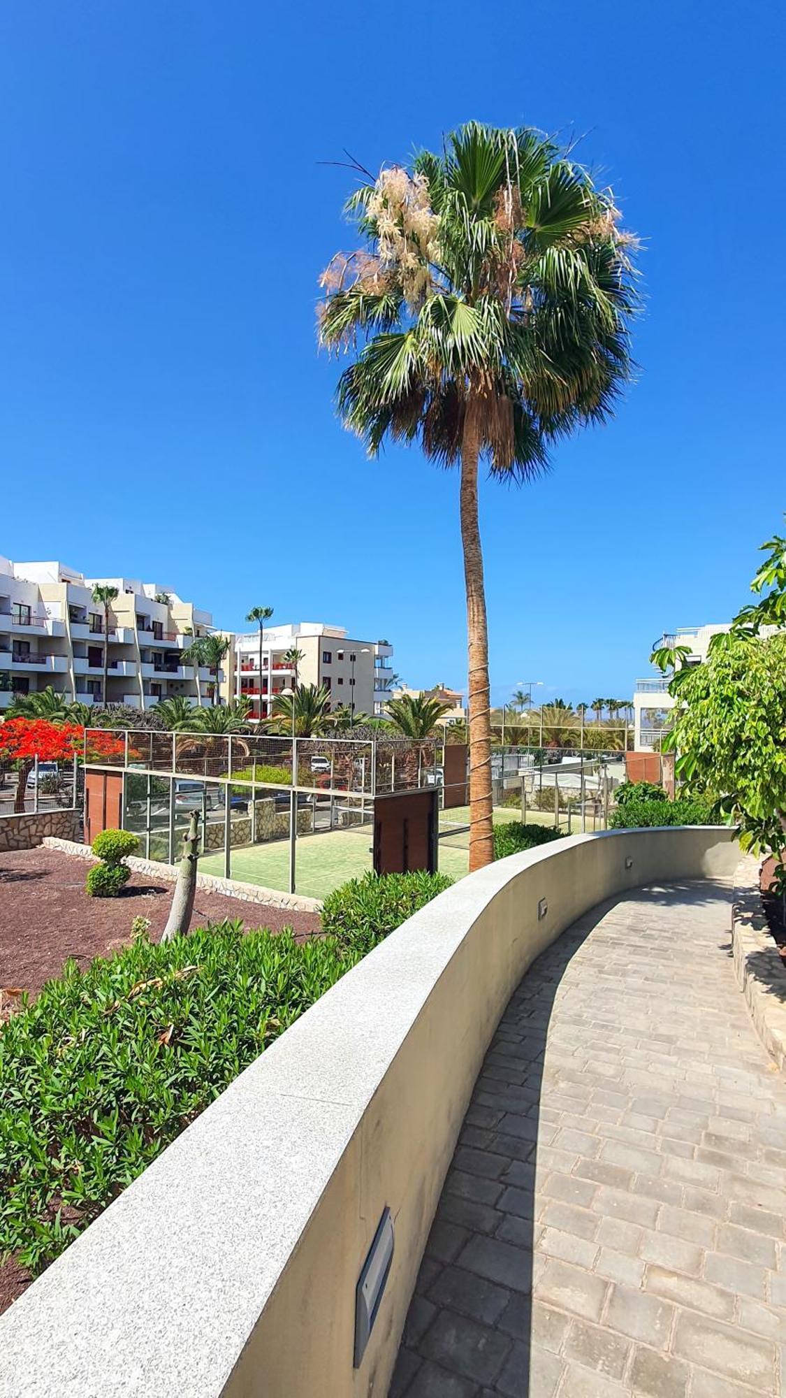 Terraza Sea & Sun Lejlighed Palm-mar Eksteriør billede