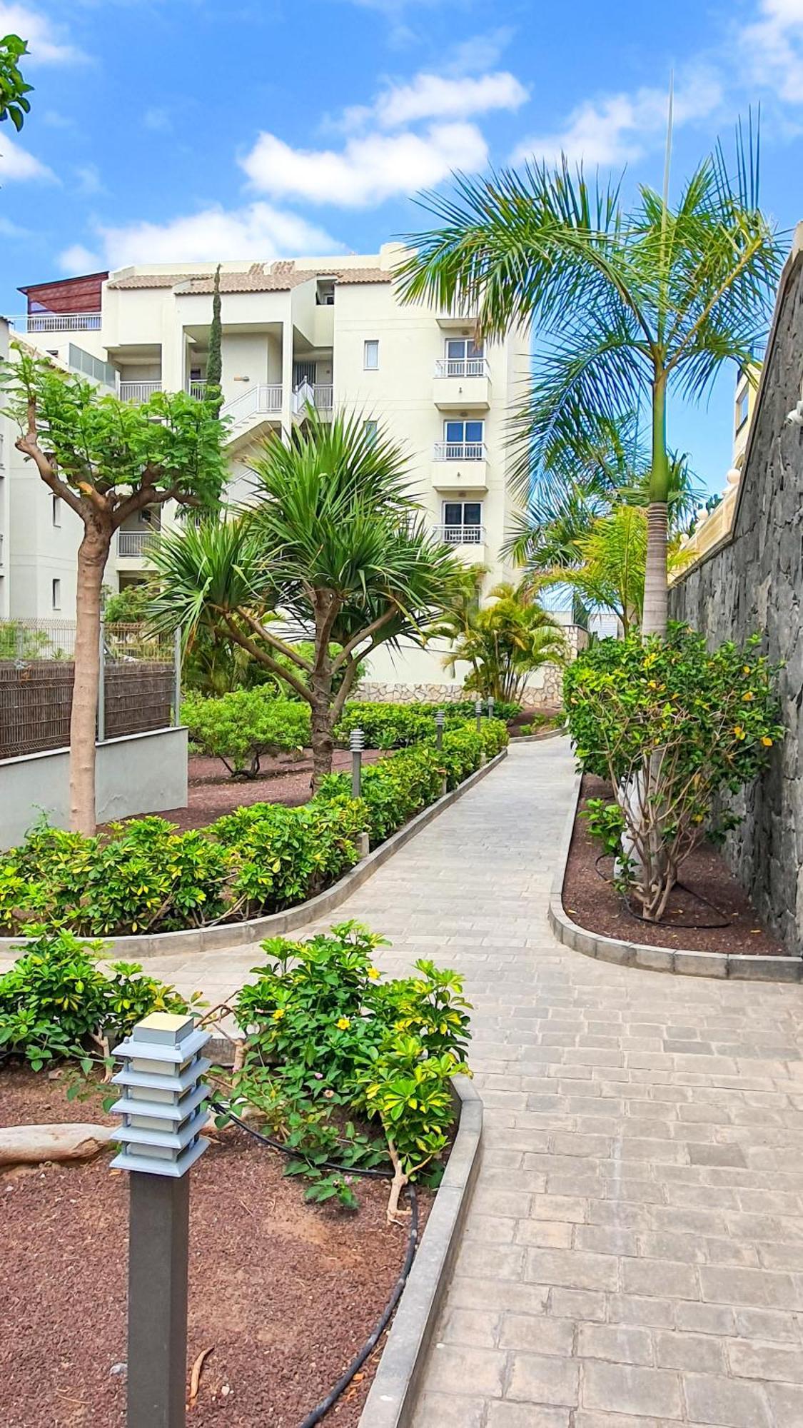 Terraza Sea & Sun Lejlighed Palm-mar Eksteriør billede